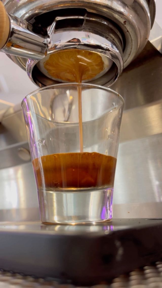 Who else has coffee on their mind?

#coffeeshopvibes #localcoffee #localcoffeeshop #shmackstockton #dudewheresmytacos #downtownstockton #igersstockton #stocktoncalifornia #stocktonfoodie #localcoffeeroaster #latteart #latteartgram #icedcoffee #butfirstcoffee☕️ #stockton209 #downtownstockton #stocktontrue #stocktonca #visitstockton #dinestockton #bestcoffeeintown #bestcoffee #bestcoffeeshop #209 #yosemitestreetvillage #midtownstockton #uop